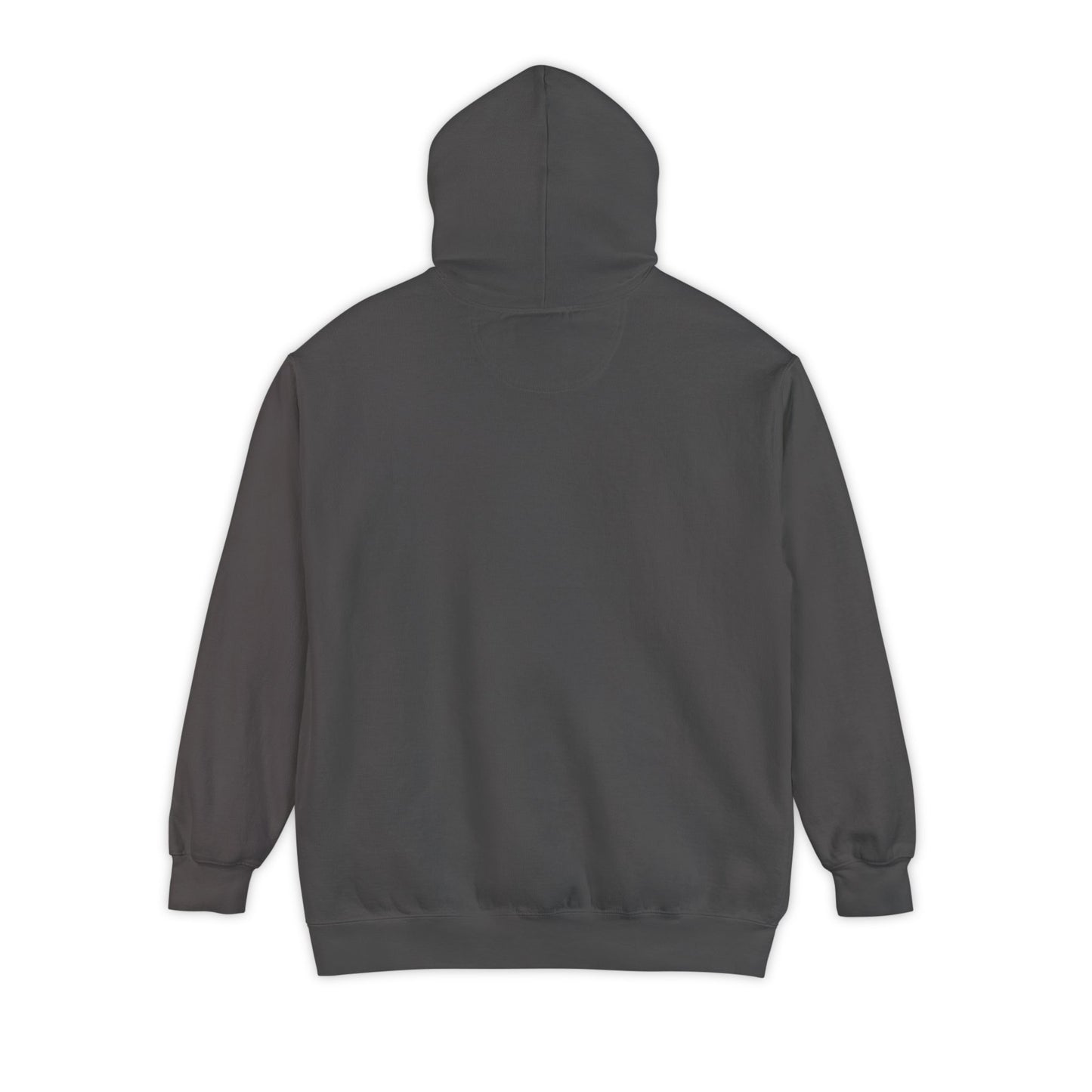 OnlySPY Inspired Hoodie